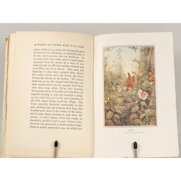 Antique Book "Birds in Town & Village" by W H Hudson, 1920, E P Dutton 1st Ed. - Picture 6 of 9